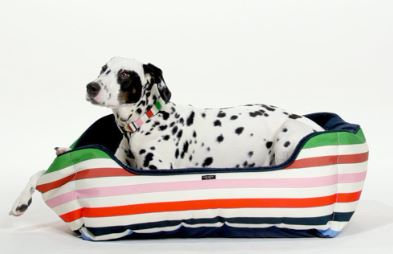Pet Bed, Adventure Stripe