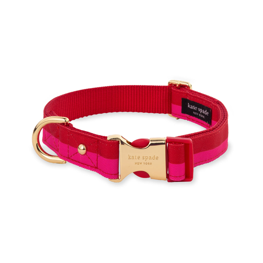 Large Dog Collar, Red and Pink