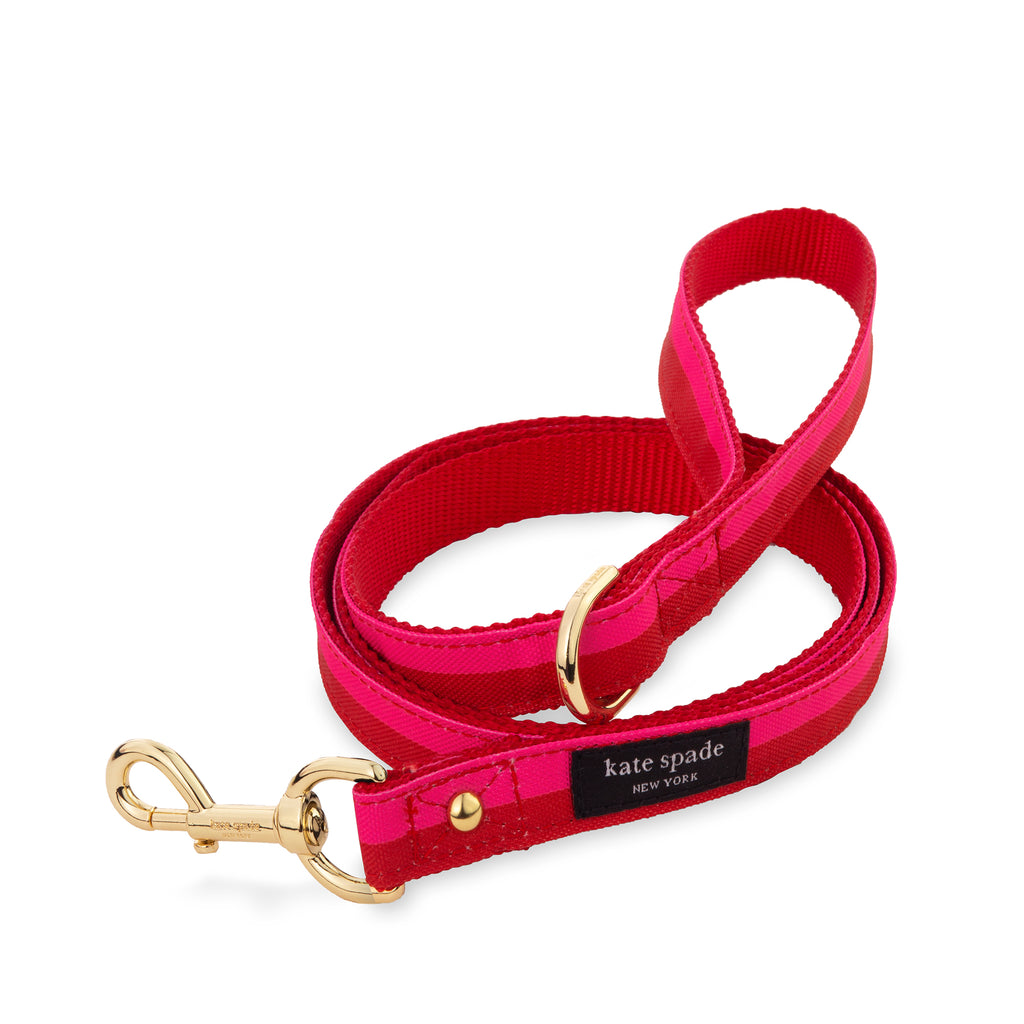 Small Dog Leash, Red and Pink