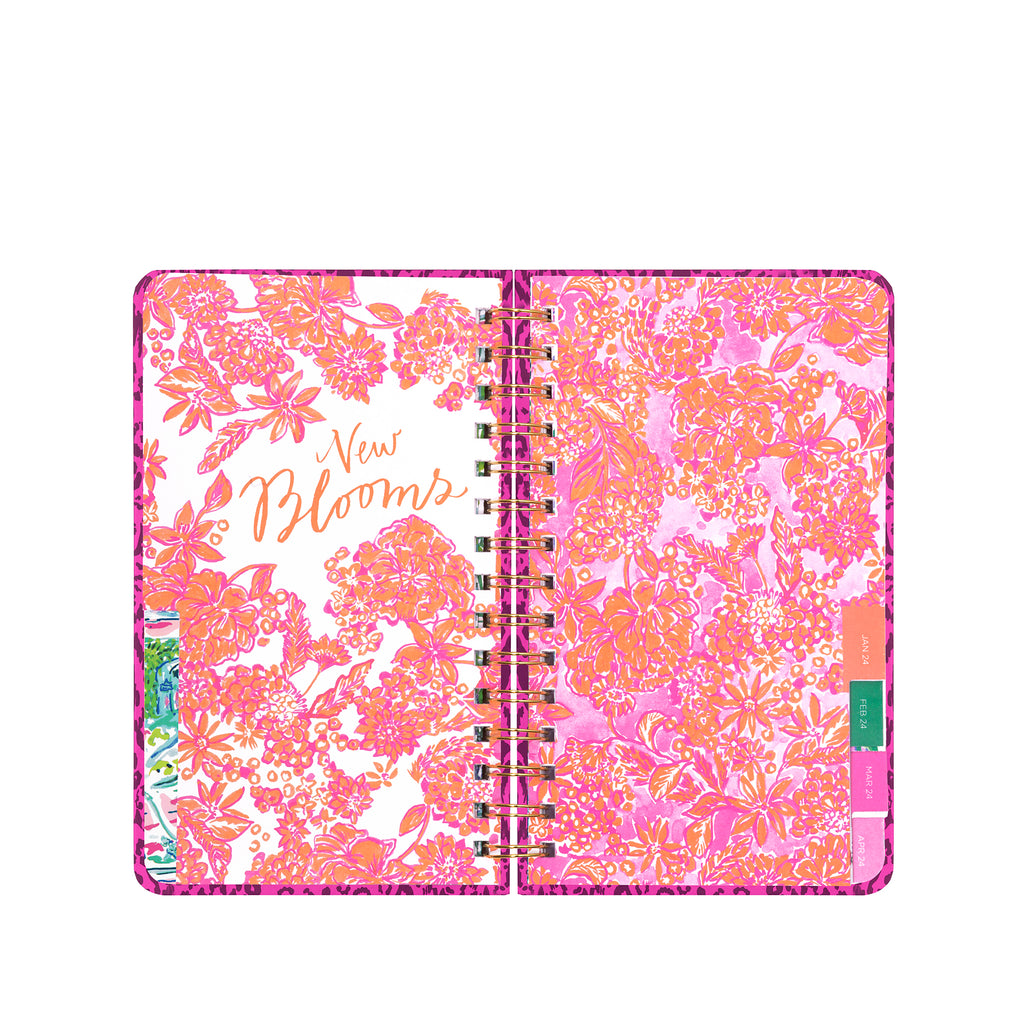 Medium 12 Month Agenda, Pattern Play
