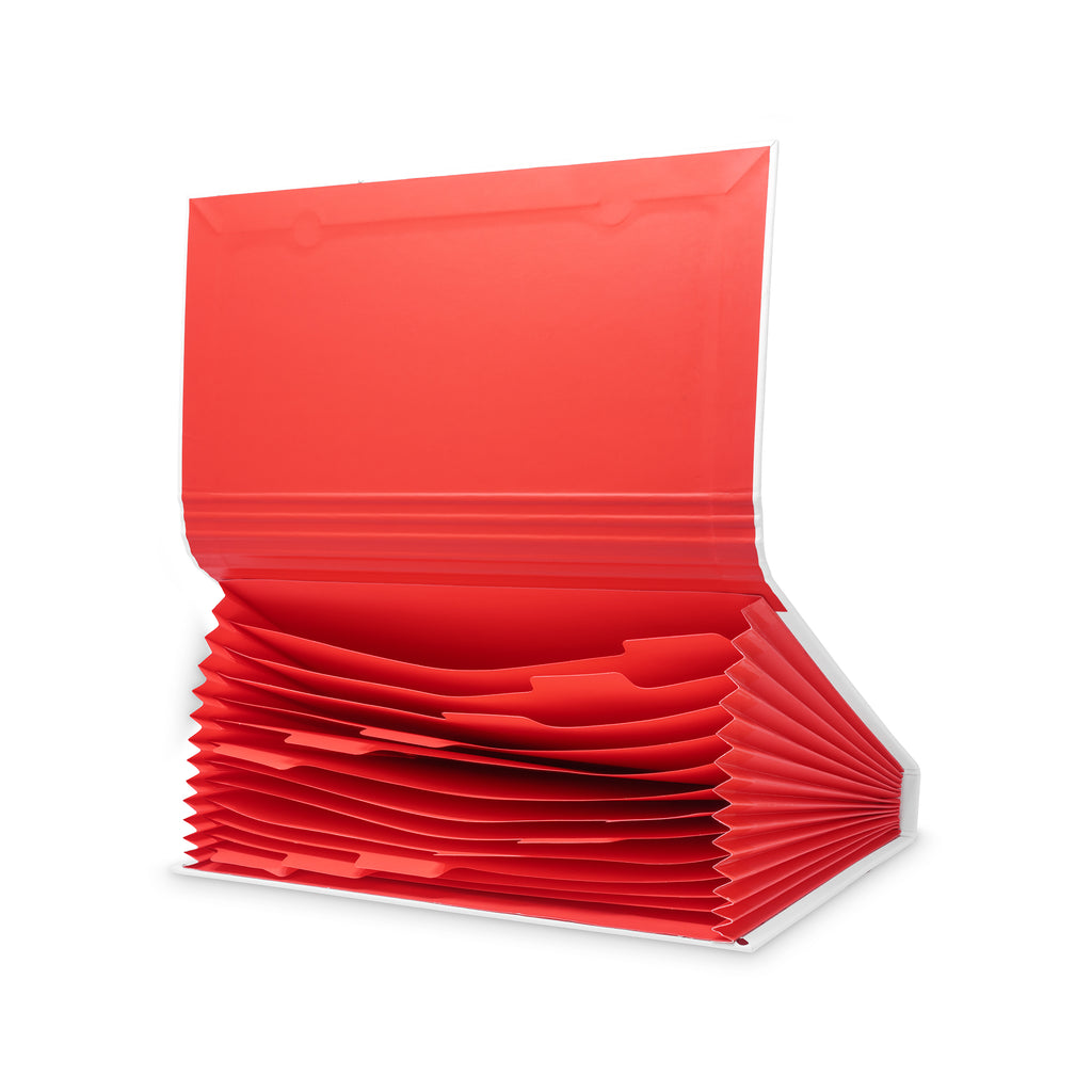 Accordion File Holder, Ladybug Dot