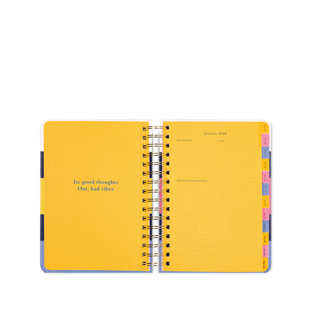 17 Month Large Planner, Bold Painterly Stripe