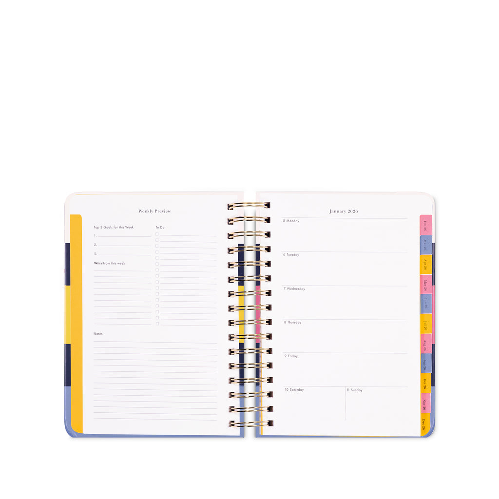 17 Month Large Planner, Bold Painterly Stripe