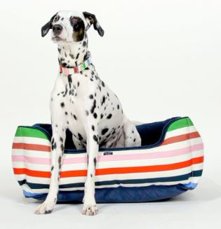 Pet Bed, Adventure Stripe