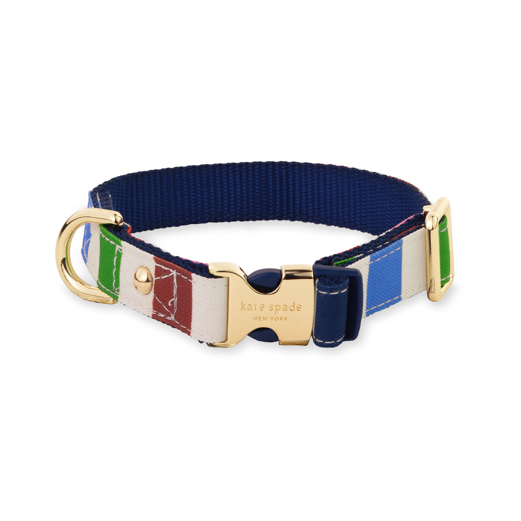 Small Dog Collar, Adventure Stripe