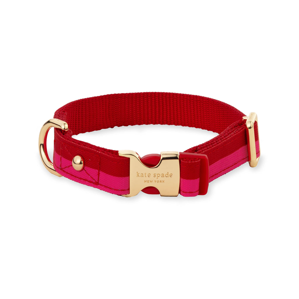 Small Dog Collar, Red and Pink