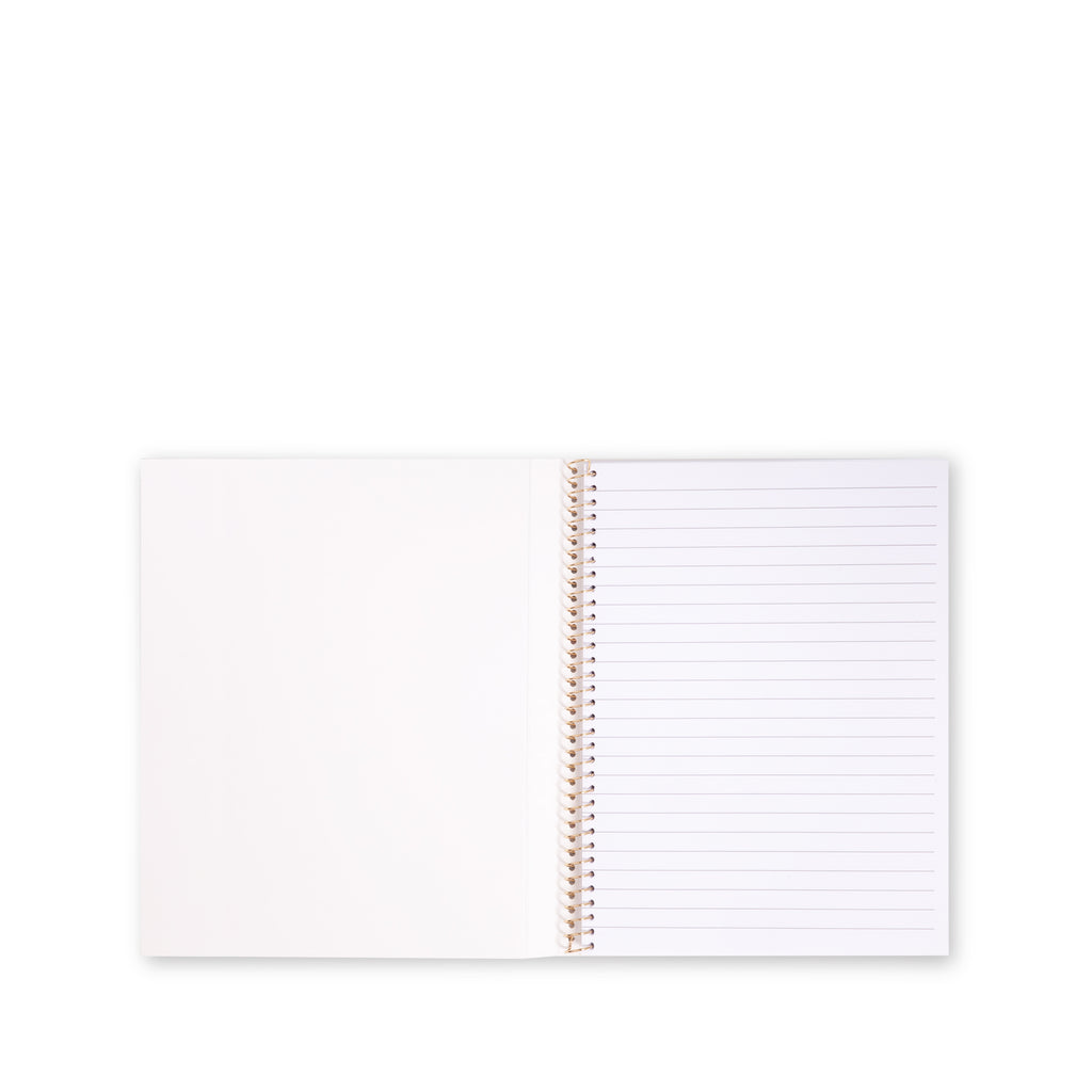 Concealed Spiral Notebook, Scattered Checks