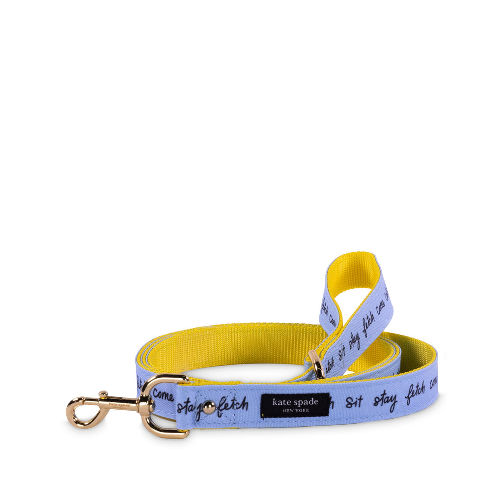 Large Dog Leash, Raining Cats and Dogs
