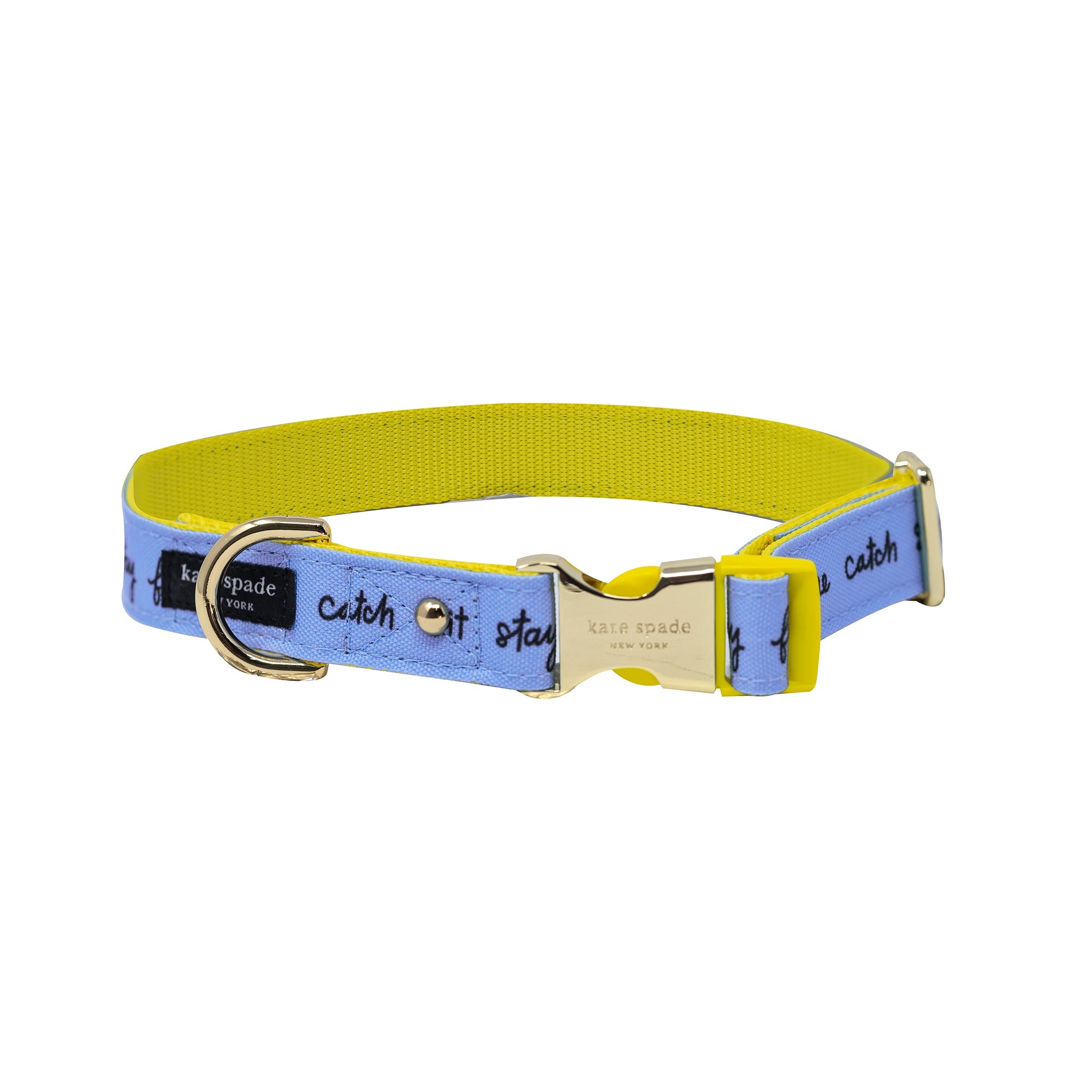 Large Dog Collar Raining Cats and Dogs Lifeguard Press