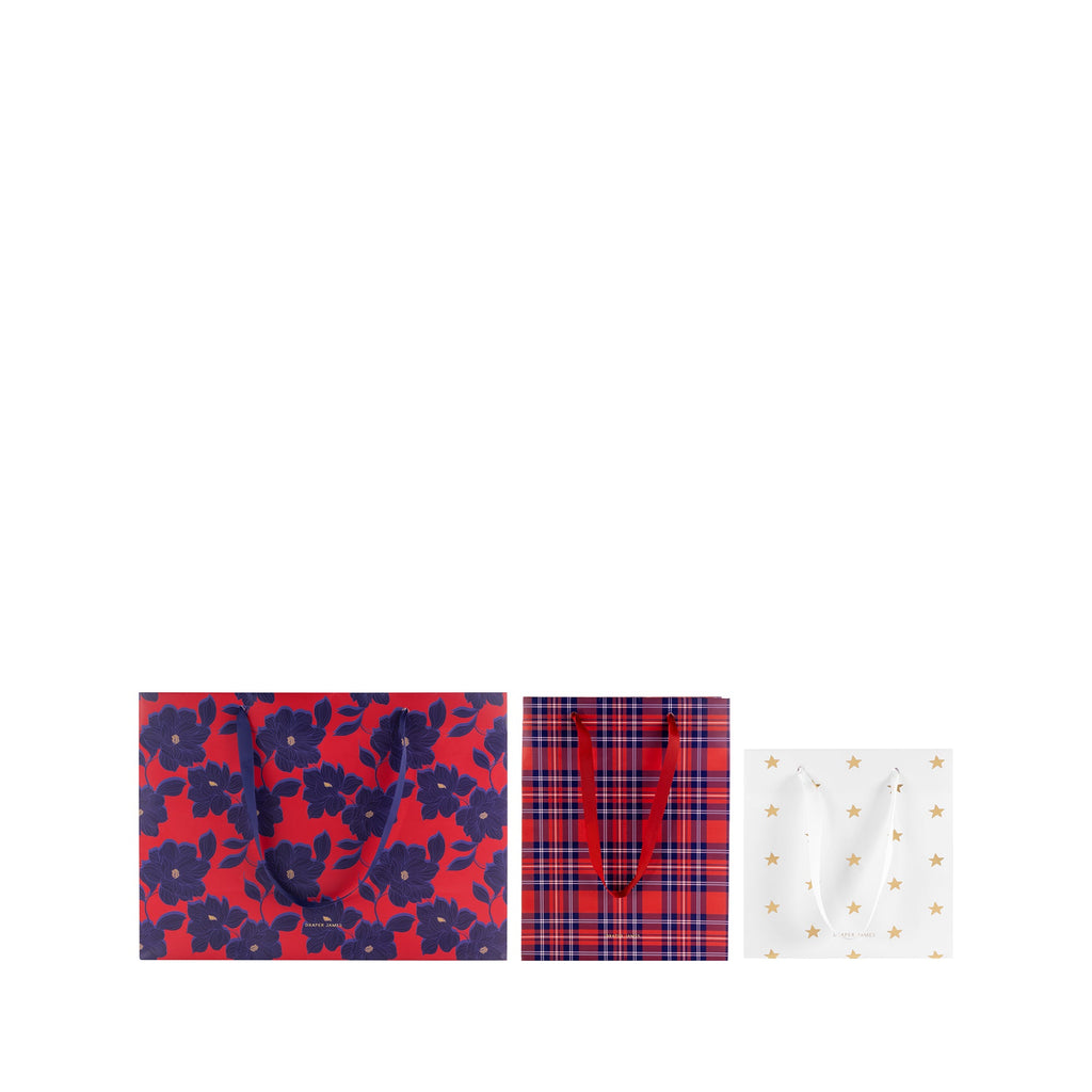 Gift Bag Set, Assorted