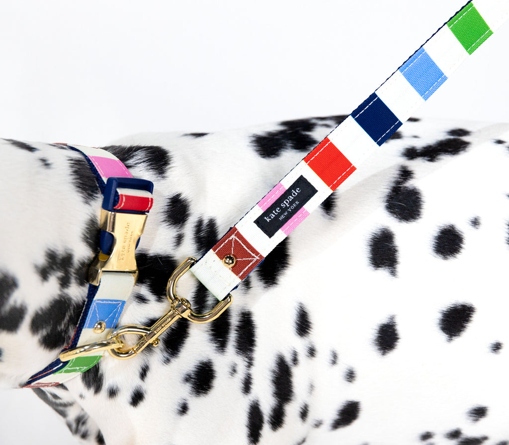 Large Dog Collar, Adventure Stripe