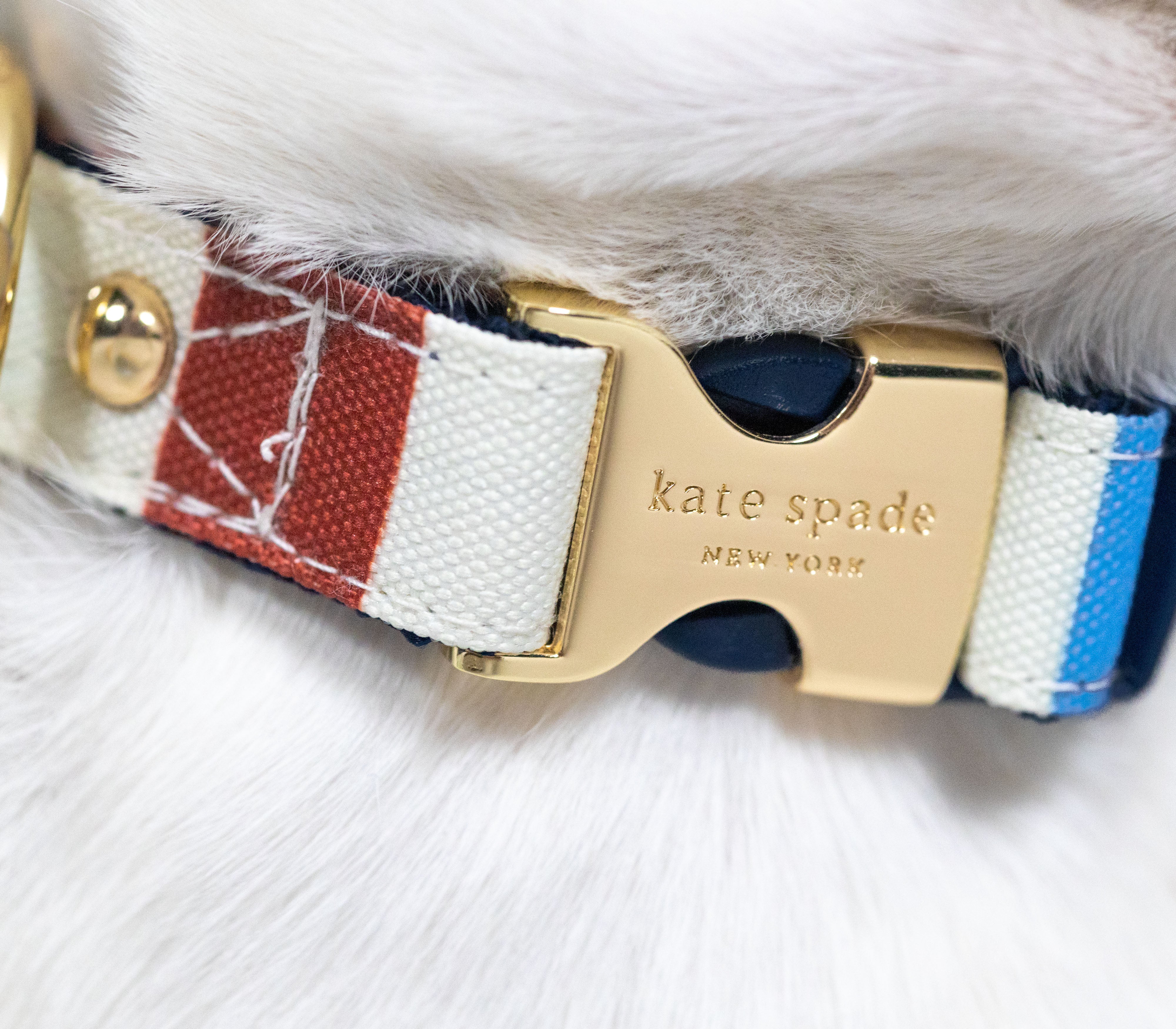 Pet Supplies Dog Collar, Collar Small Dog Rope