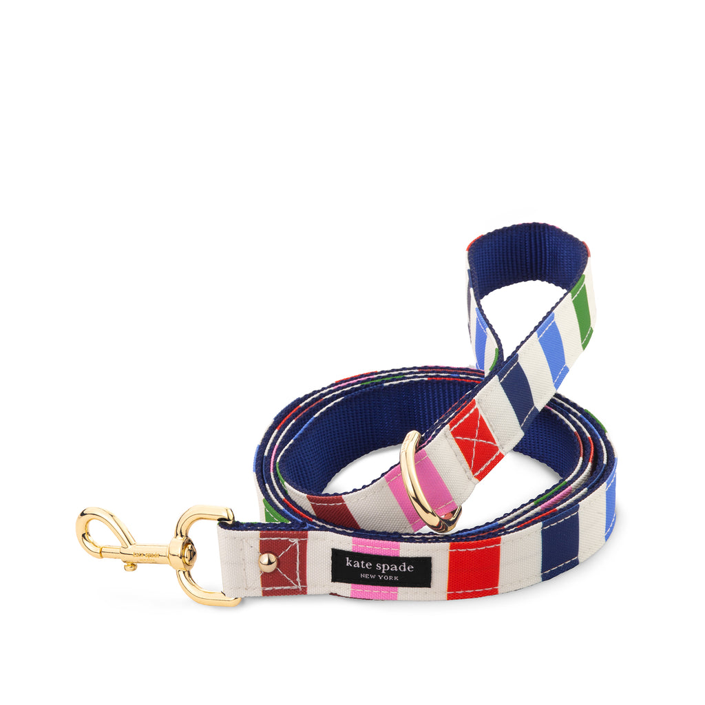 Large Dog Leash, Adventure Stripe