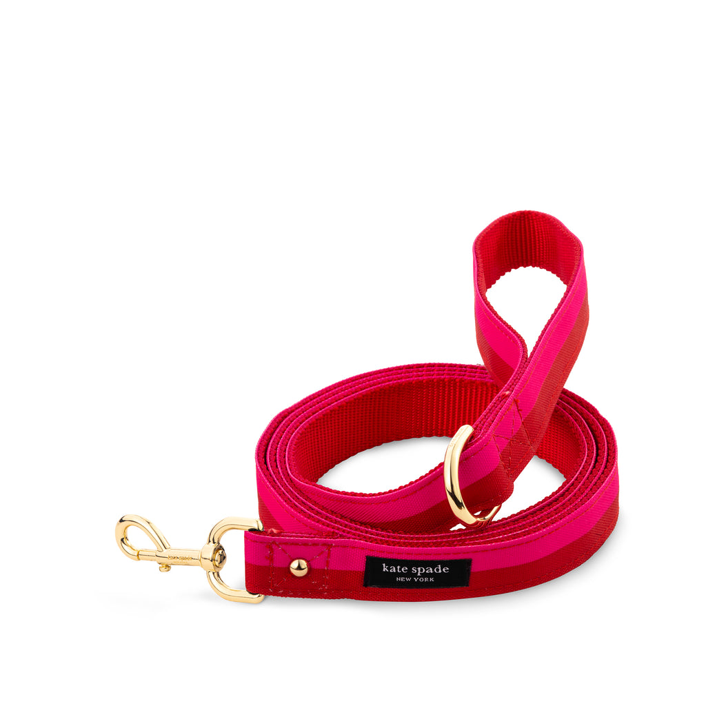 Large Dog Leash, Red and Pink