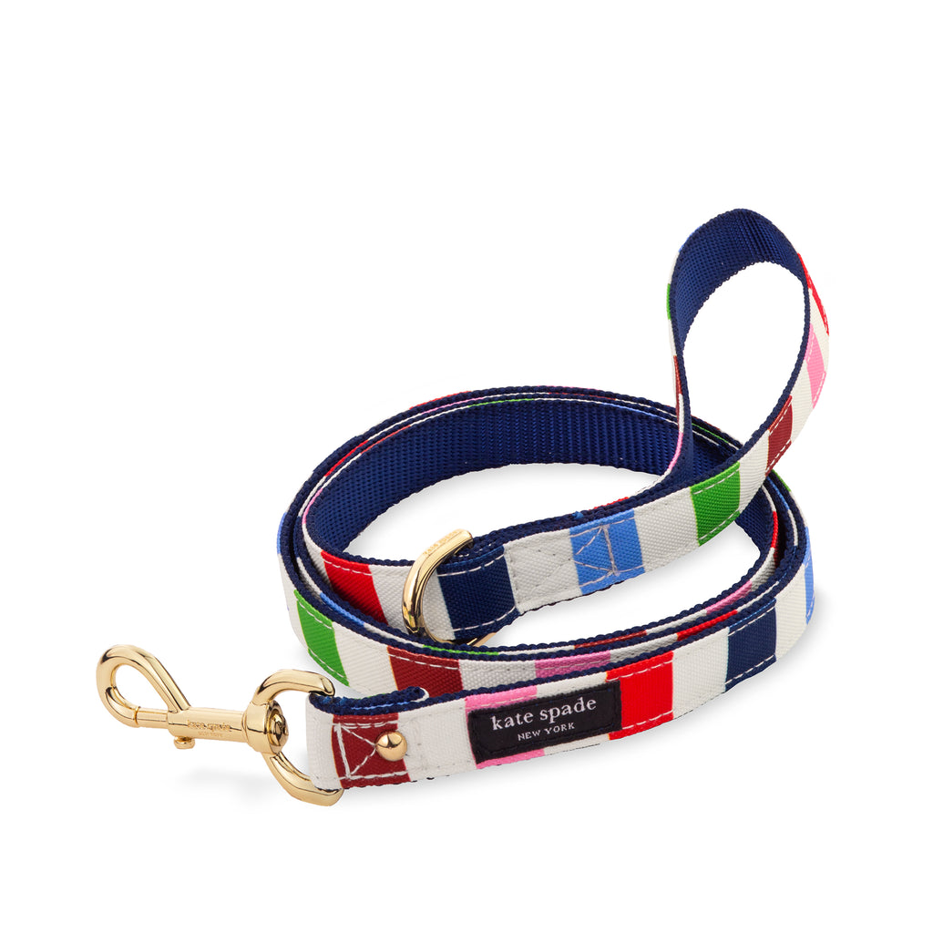 Small Dog Leash, Adventure Stripe