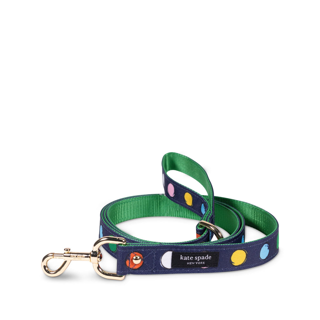 Large Dog Leash, Watercolor Dot