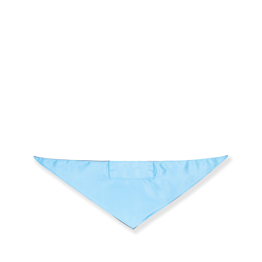 Small Bandana, Watercolor Dot