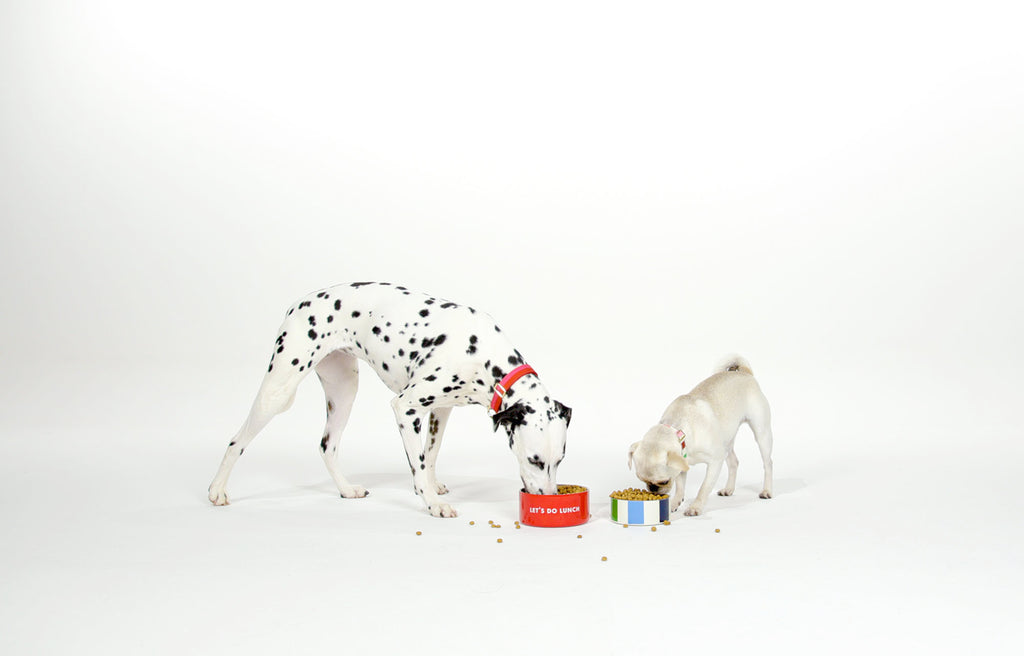 Large Pet Bowl, Red and Pink