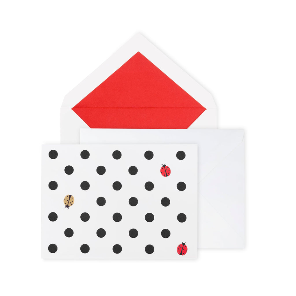Notecard Set, Ladybug Dot