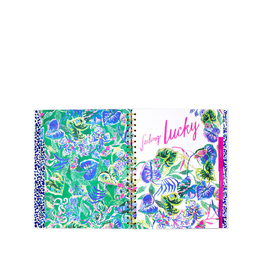Undated Weekly Planner, Have It Both Rays