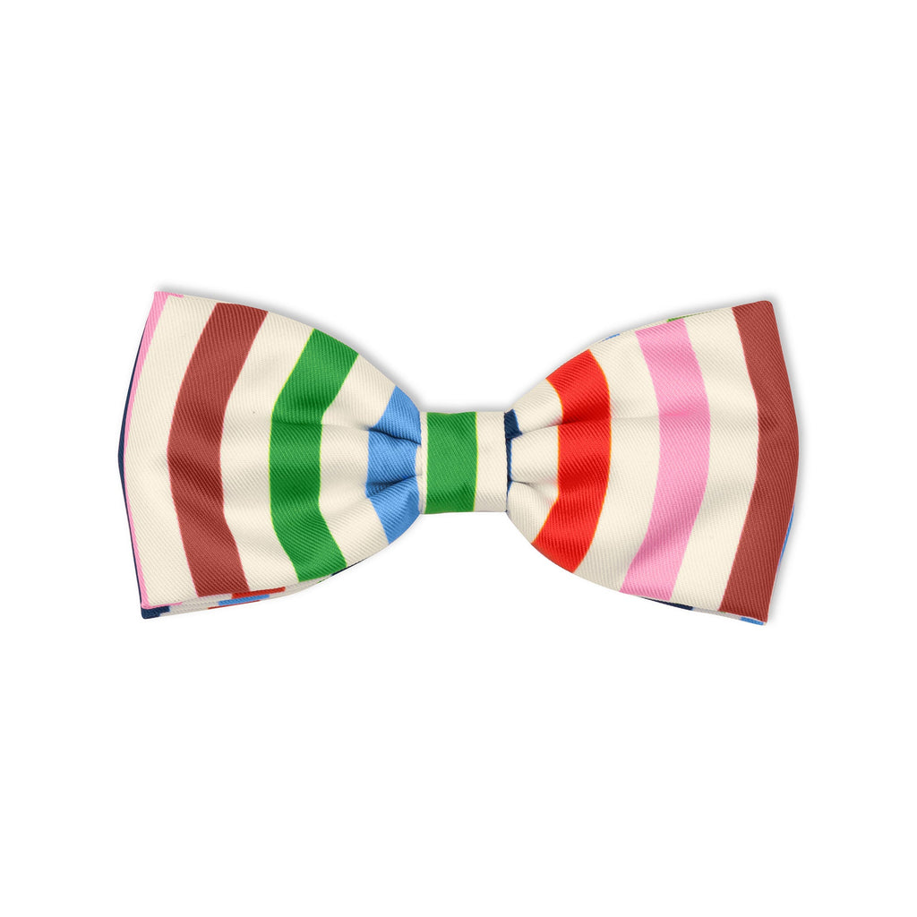 Bow Tie, Adventure Stripe