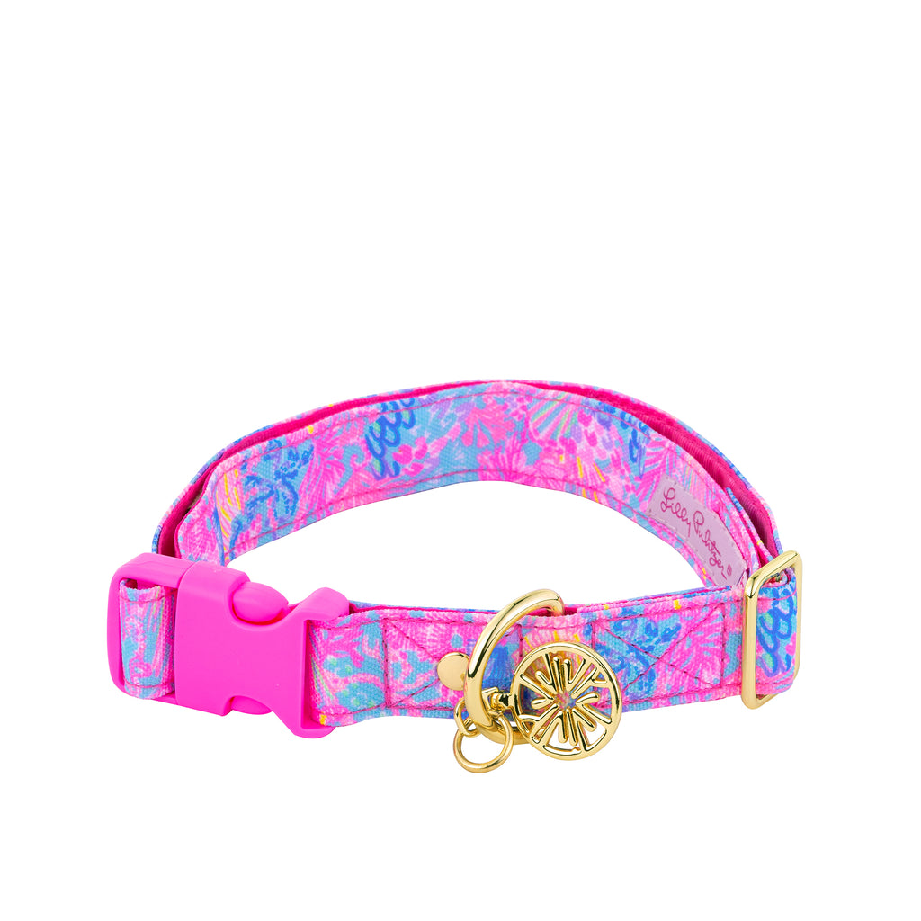 Dog Collar, Splendor in the Sand (M/L)