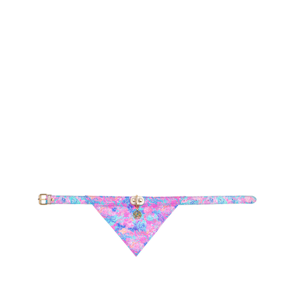 Dog Collar with Bandana, Splendor in the Sand (M/L)