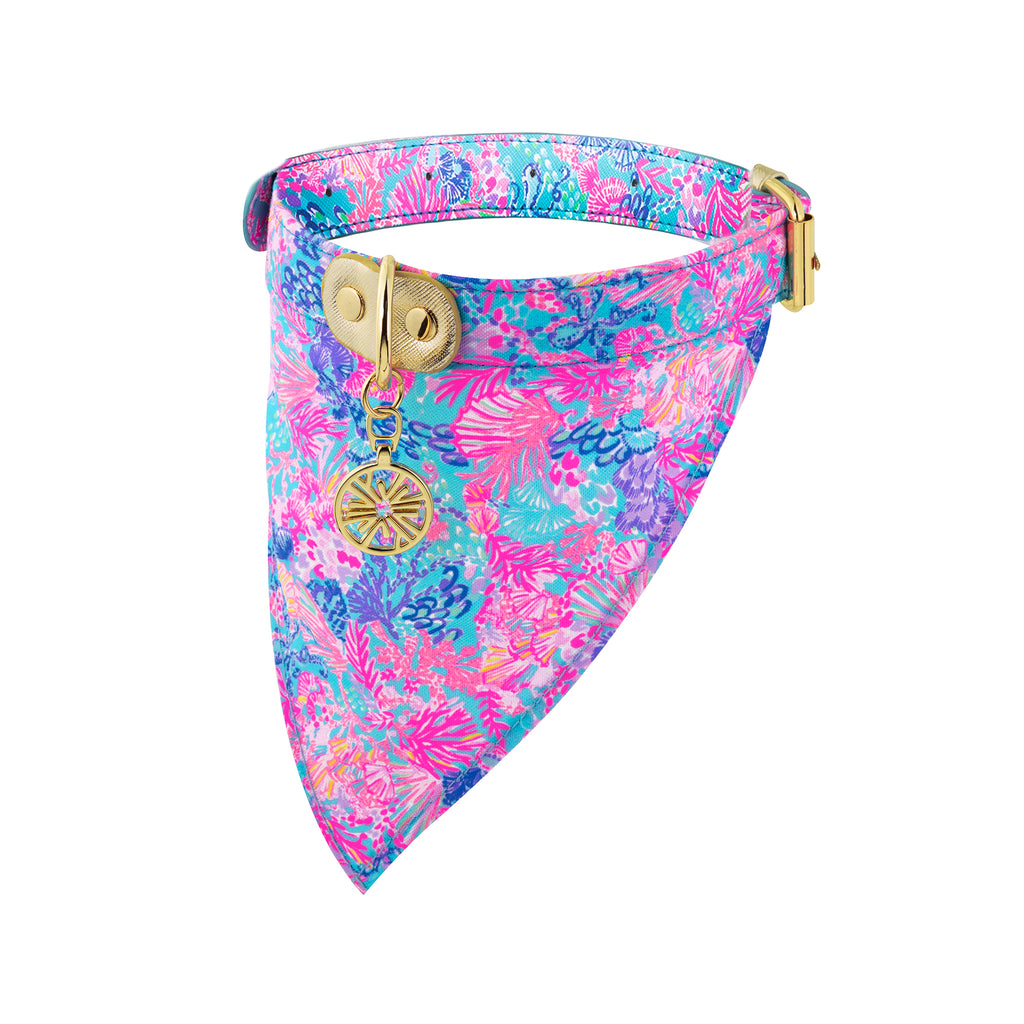 Dog Collar with Bandana, Splendor in the Sand (M/L)