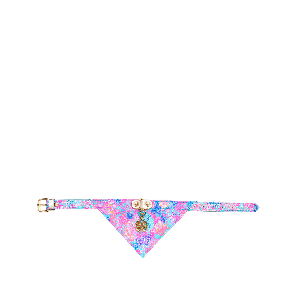 Dog Collar with Bandana, Splendor in the Sand (S/M)