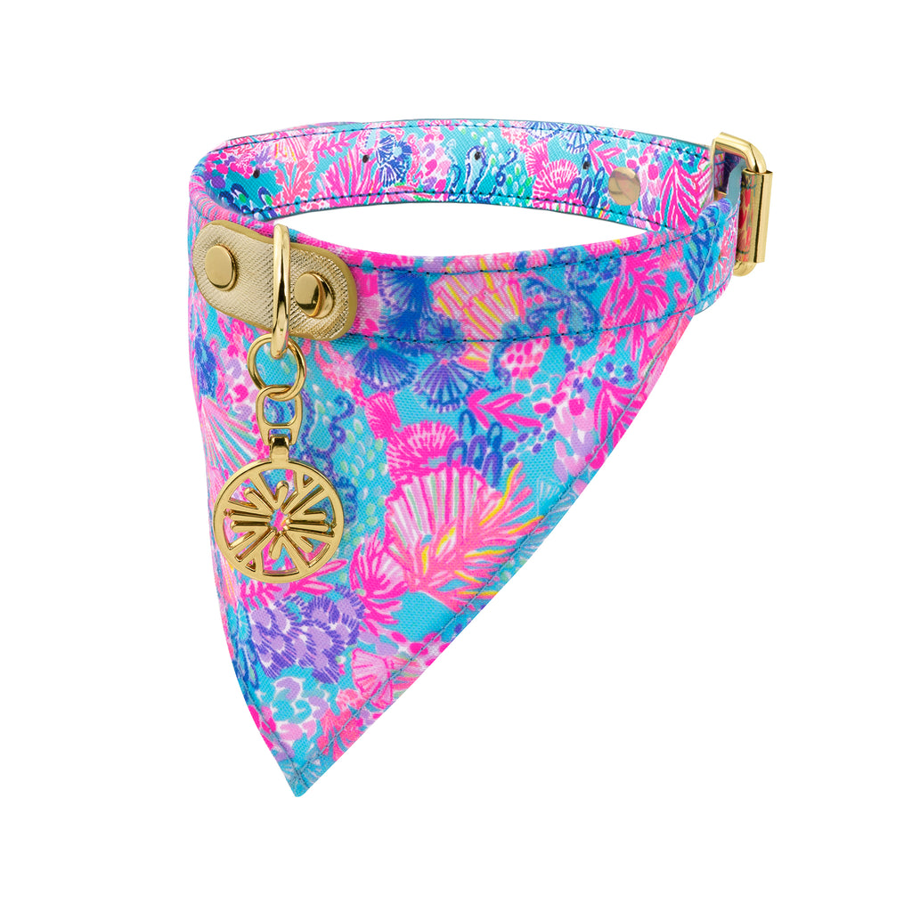 Dog Collar with Bandana, Splendor in the Sand (S/M)