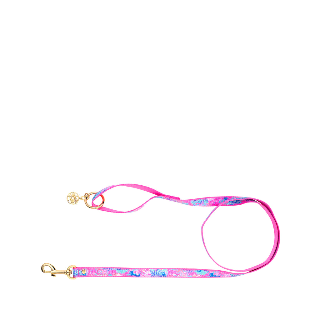 Dog Lead, Splendor in the Sand (S/M)