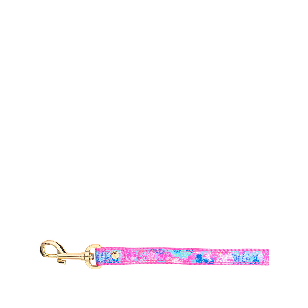 Dog Lead, Splendor in the Sand (S/M)