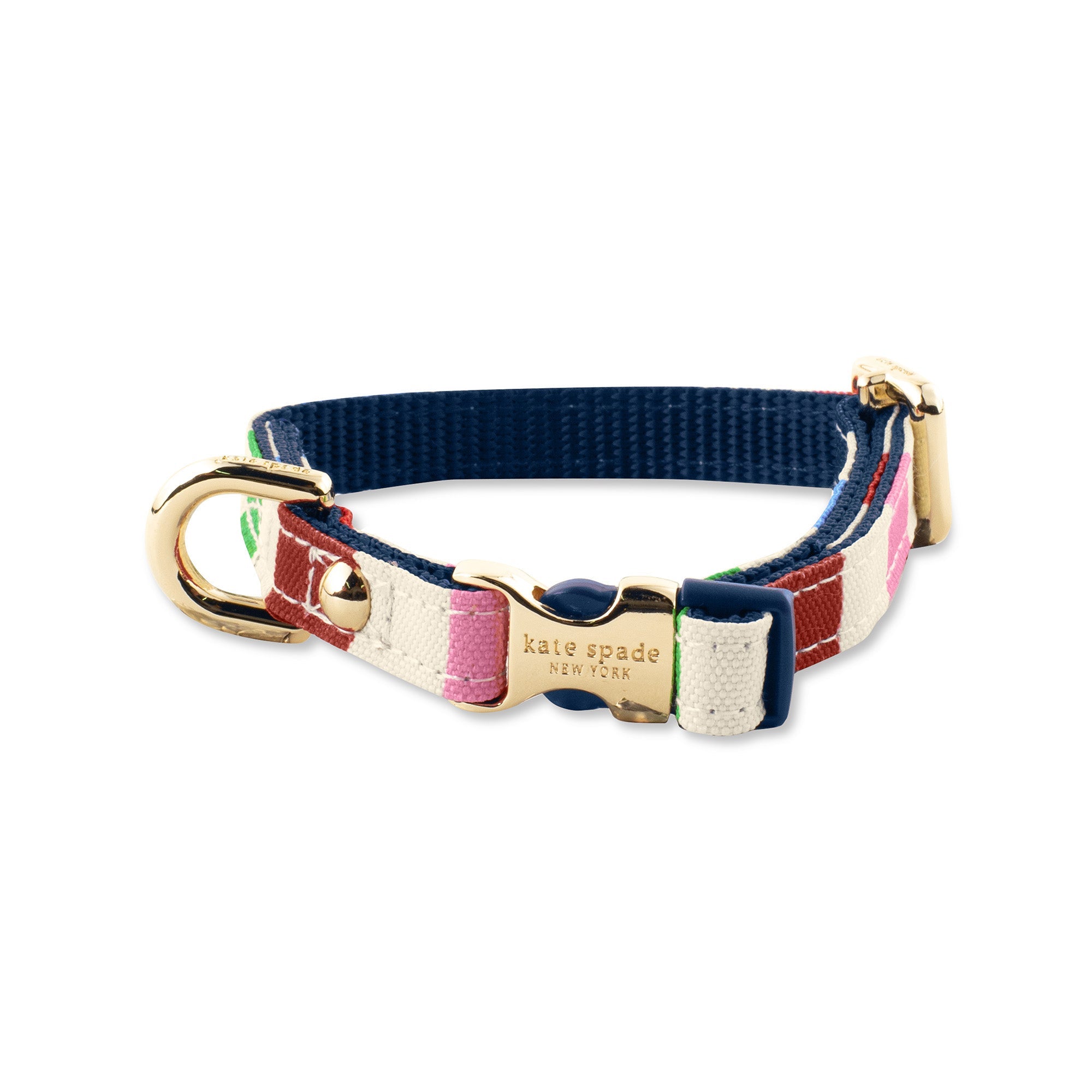 X Small Dog Collar Adventure Stripe Lifeguard Press