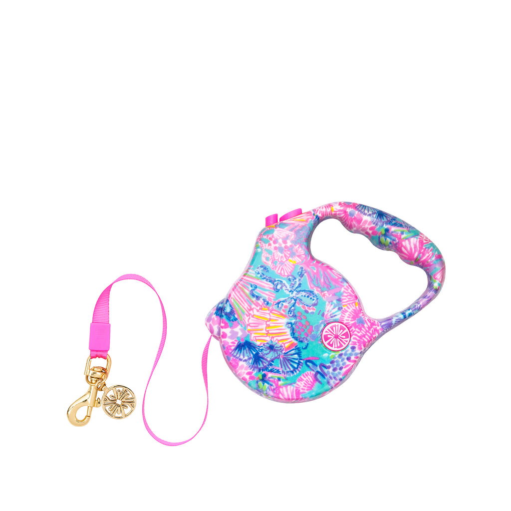 Retractable Dog Lead, Splendor in the Sand
